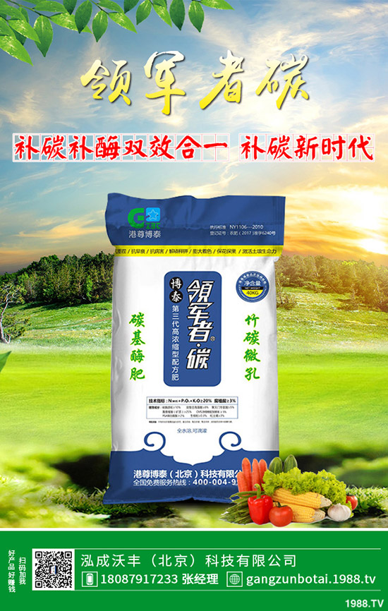 家中該如何養(yǎng)殖馬蹄蓮？養(yǎng)殖方法要點(diǎn)，花友必看！