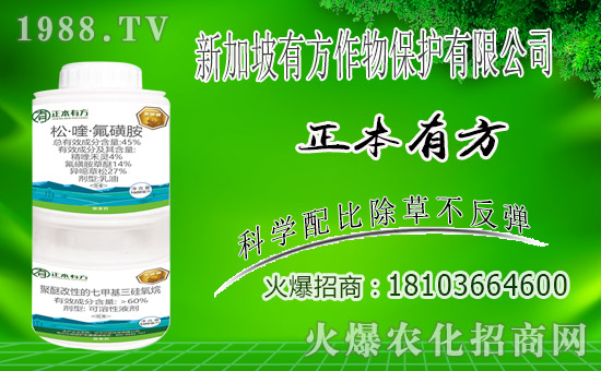 ��ռ�̙C���������A���¼����з����ﱣ�o���v1988.TV��