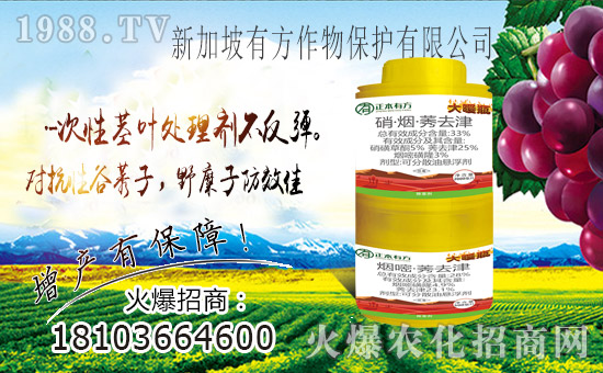 ��ռ�̙C���������A���¼����з����ﱣ�o���v1988.TV��