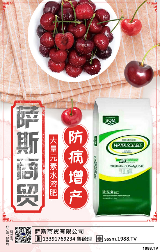 春玉米該如何種植?早春玉米高產(chǎn)種植技術(shù)要點(diǎn)