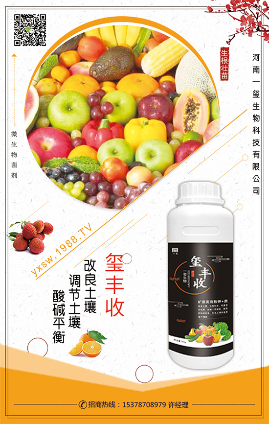 葫蘆的生長習性，葫蘆種植技術(shù)要點！