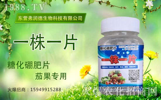     ����������ɹ����v1988.TV�����\�����°l(f��)չ��