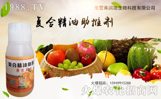     ����������ɹ����v1988.TV�����\�����°l(f��)չ��