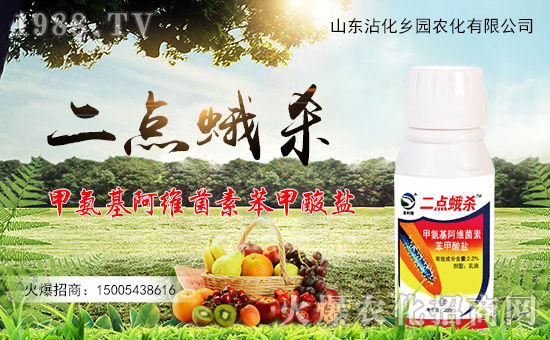 �r(n��ng)���W(w��ng)ϲӭ�»�����y���l(xi��ng)�@�r(n��ng)������ؔ(c��i)��֮·��