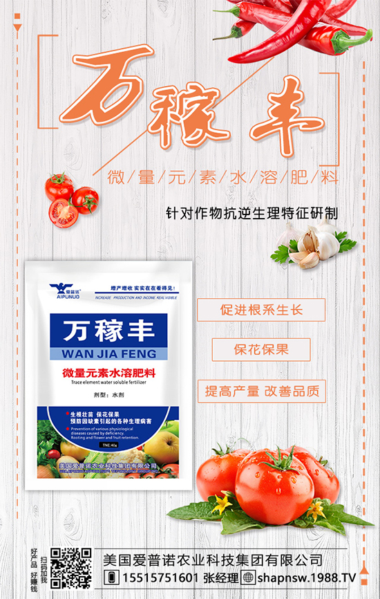 茶葉是什么時候種植的？茶葉的市場前景及種植效益！