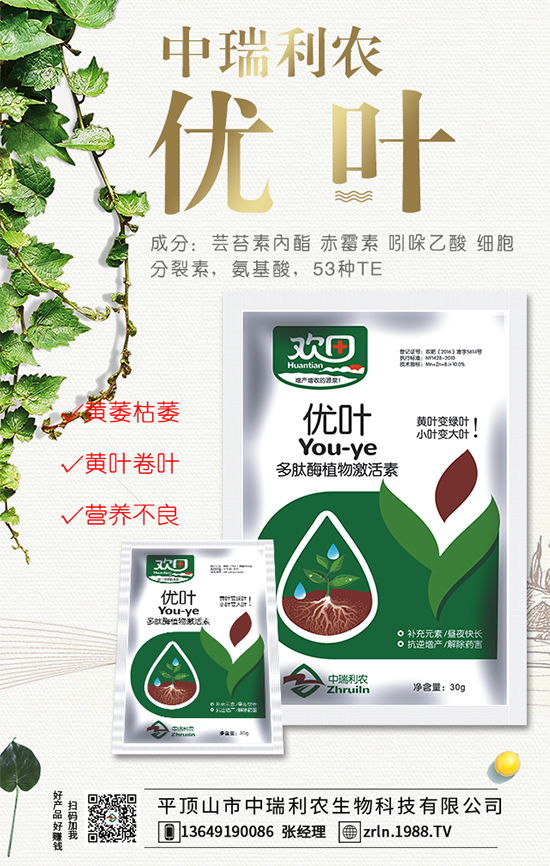 西瓜什么時(shí)間種植？西瓜伸蔓期管理要點(diǎn)！