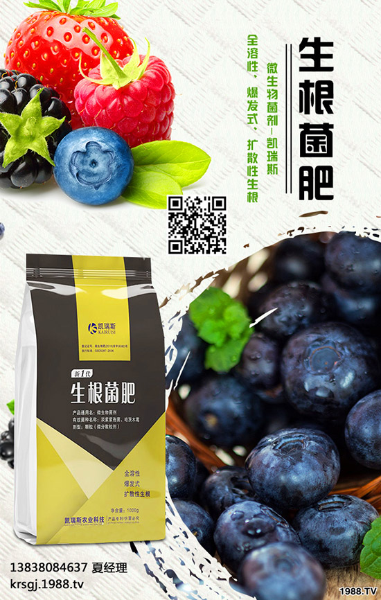 長壽花盆栽施肥要注意哪些問題，長壽花盆栽施肥要點！