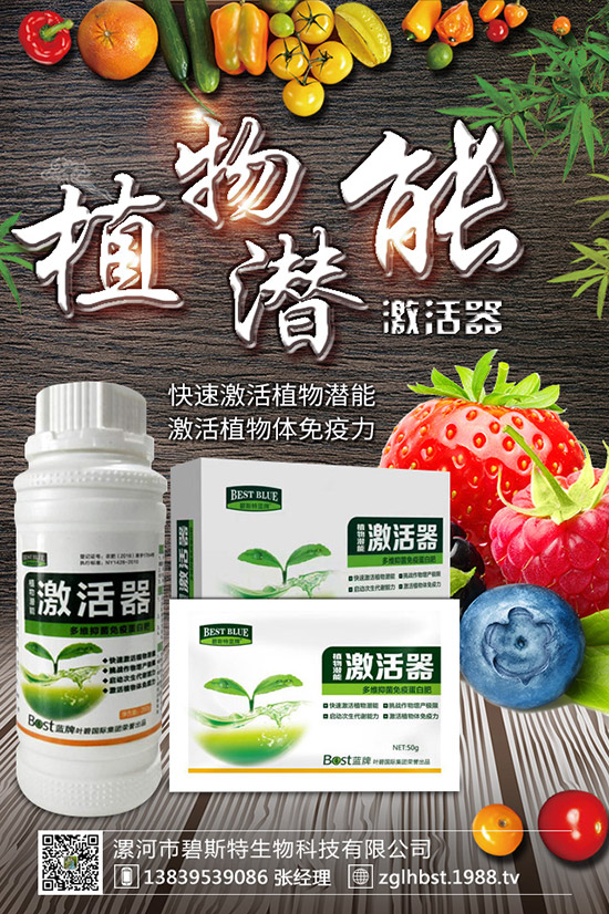 天麻怎么種成活率高？天麻什么時候種植更好？