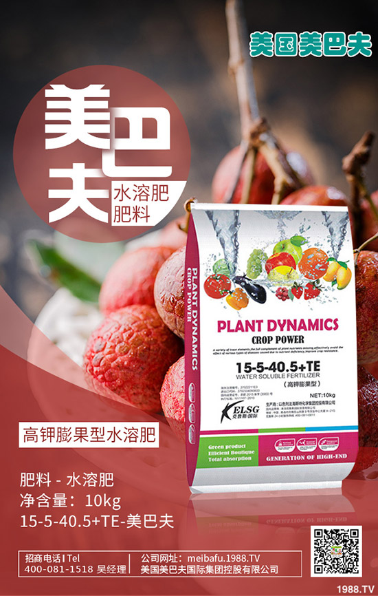 茼蒿怎么種?茼蒿的種植時間及方法