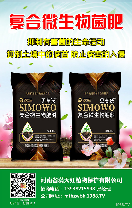 春玉米如何巧施肥？2020年春玉米科學施肥建議