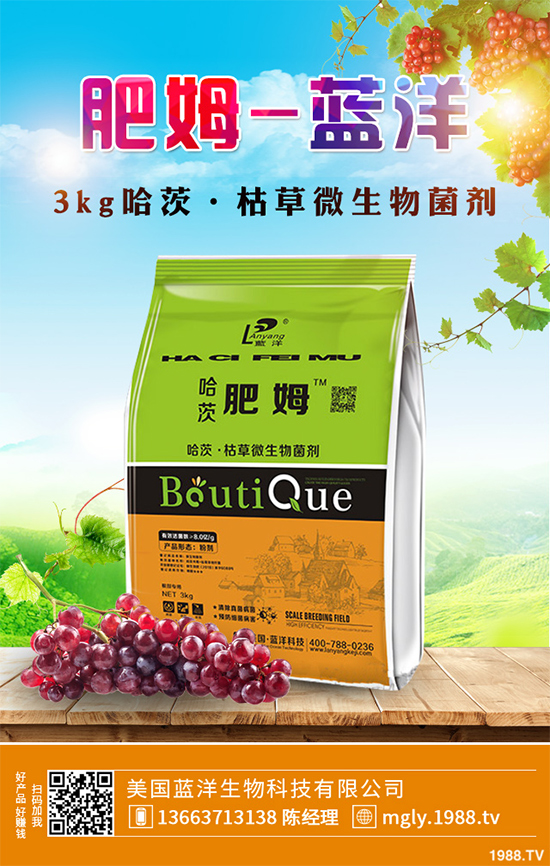 花椒樹該如何種植？三步幫你輕松種出高產(chǎn)花椒！