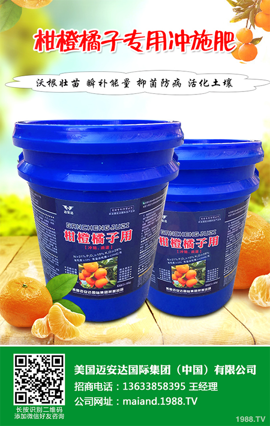 花椒樹該如何種植？三步幫你輕松種出高產(chǎn)花椒！