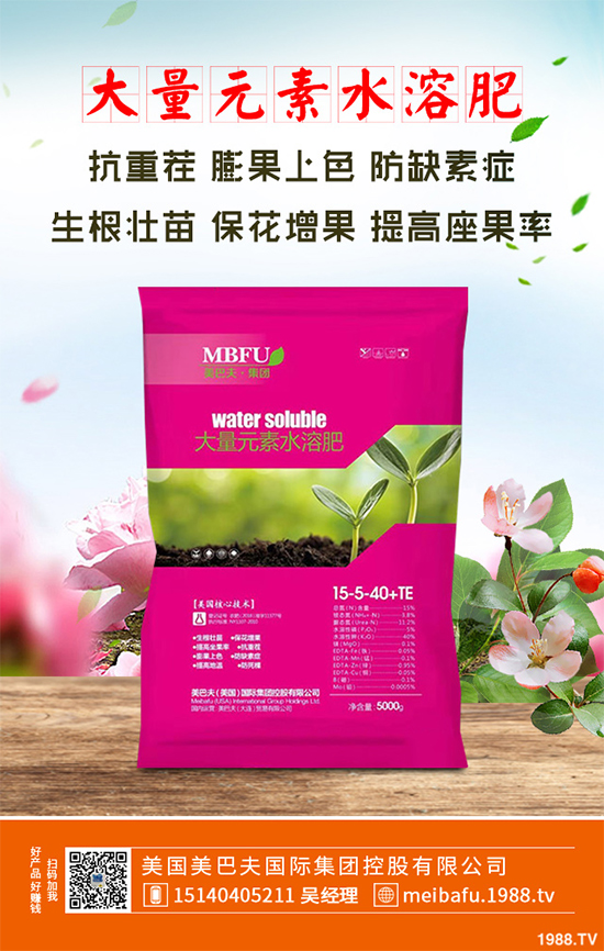 春季花椒樹常見的病蟲害有哪些？該如何防治？花椒病害的發(fā)生與防治