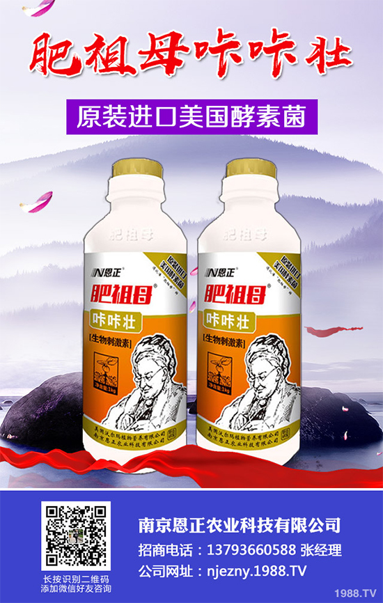 春季花椒樹常見的病蟲害有哪些？該如何防治？花椒病害的發(fā)生與防治