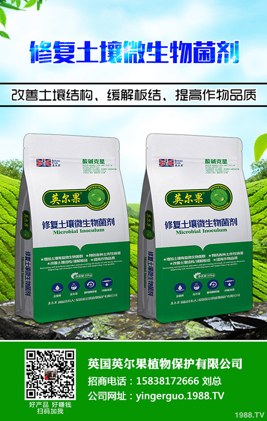 一銨行情成交下調(diào)!今日最新企業(yè)出廠參考報(bào)價(jià)一覽2020-3-25