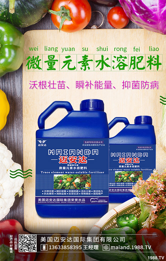 豆芽種植方法有哪些?豆芽的營養(yǎng)價(jià)值及功效與作用!