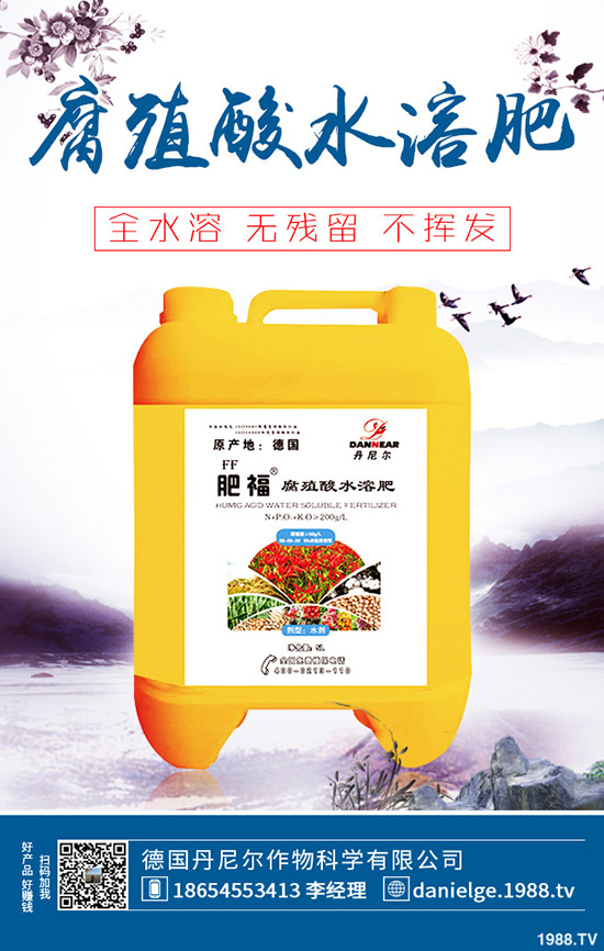 生菜怎么快速催芽？生菜催芽后管理方法！