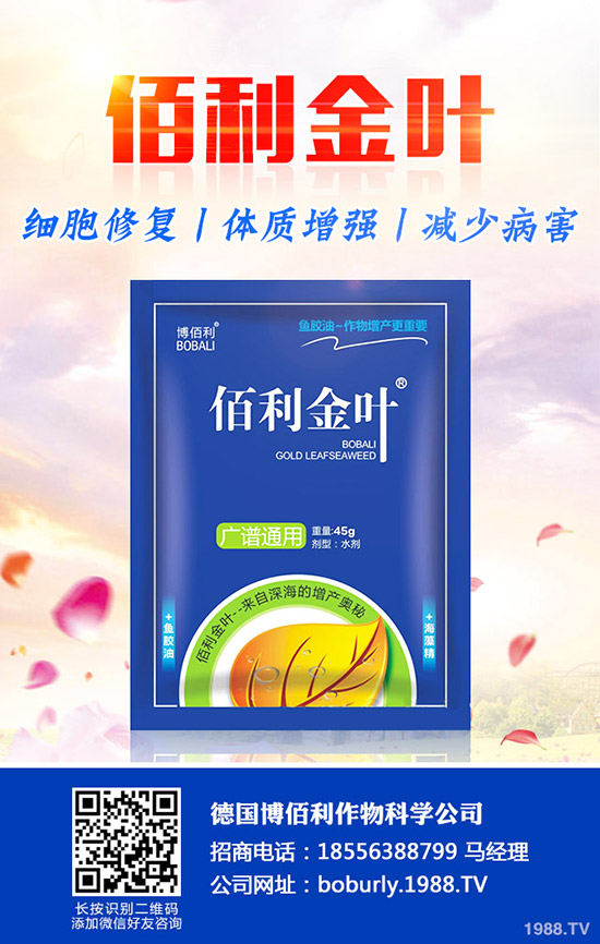 果樹(shù)如何預(yù)防肥害,發(fā)生肥害了如何補(bǔ)救?