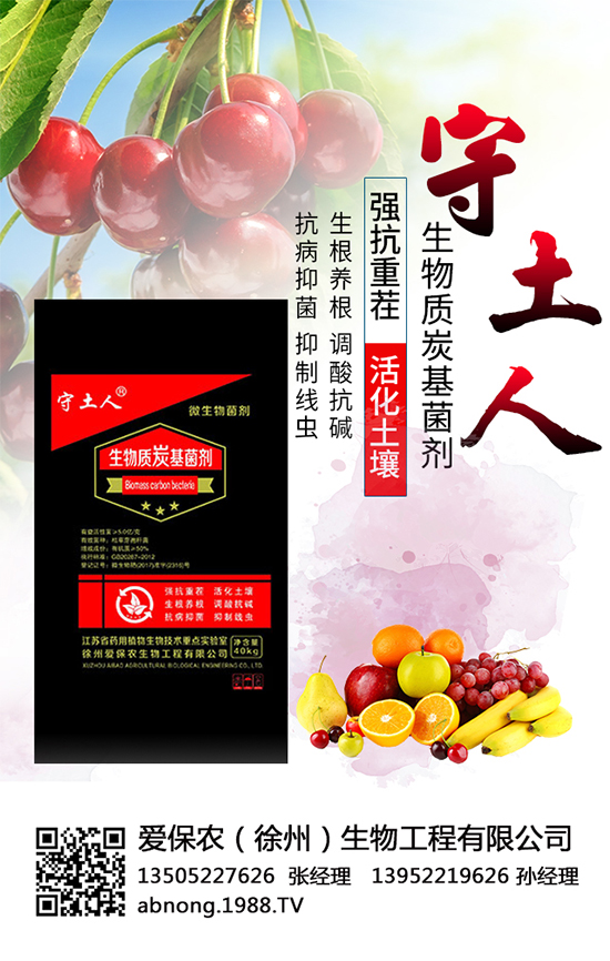 ��(��i)���r(n��ng)�����ٴΔy��1988.TV���y���ل�(chu��ng)���x����