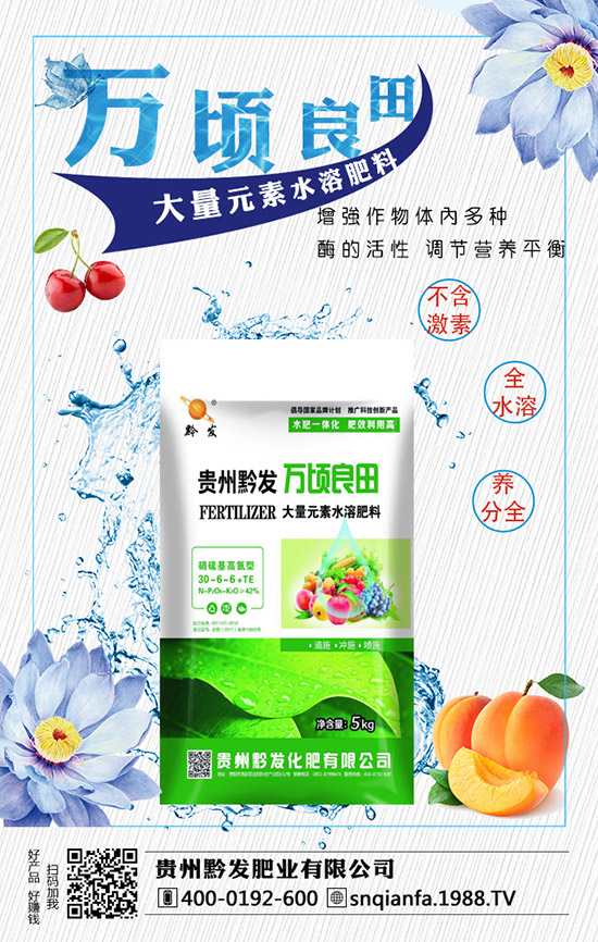 西蘭花育苗技術有哪些，西蘭花育苗的注意事項！