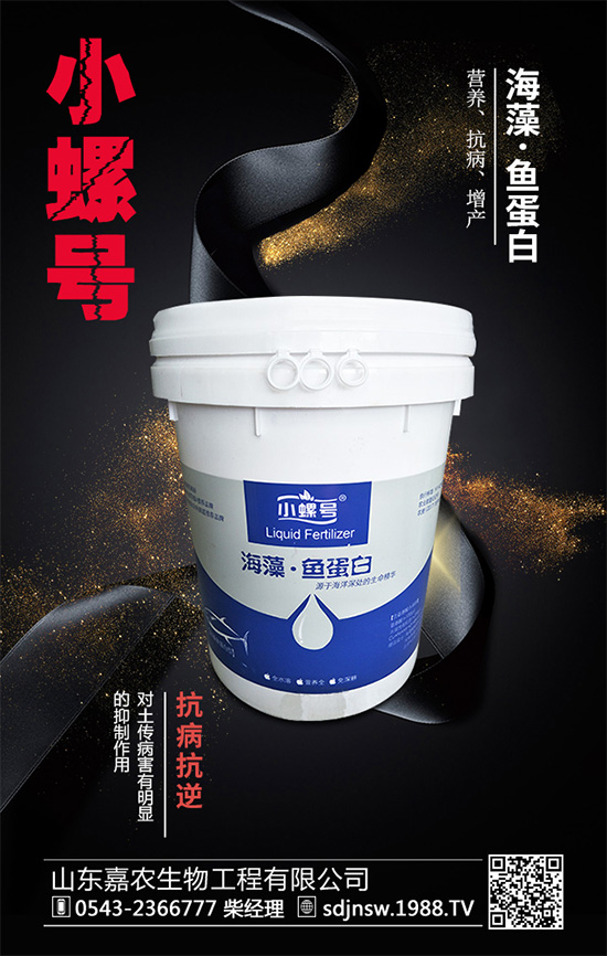 露地茄子該如何種植？茄子春季種植管理技術(shù)要點(diǎn)