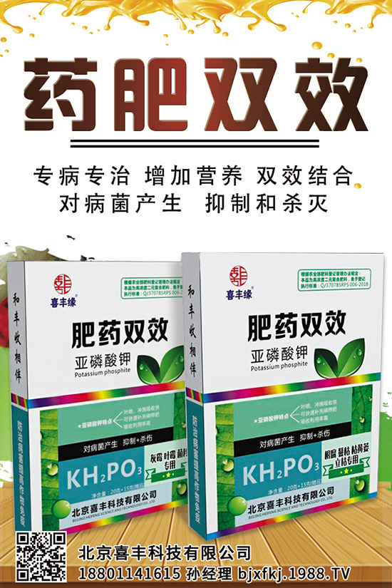 西蘭花施肥管理技術(shù)有哪些，這些一定要看！