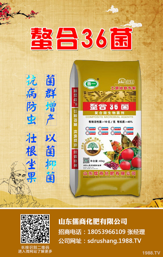     蘋果樹春季管理需要注意的12大誤區(qū)！值得你收藏！