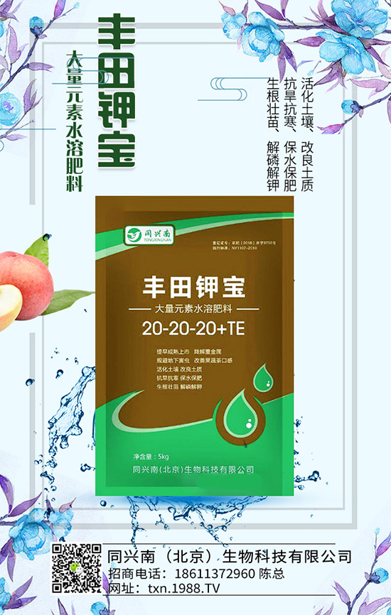 豌豆什么時候種，豌豆種植時間及種植要點(diǎn)！