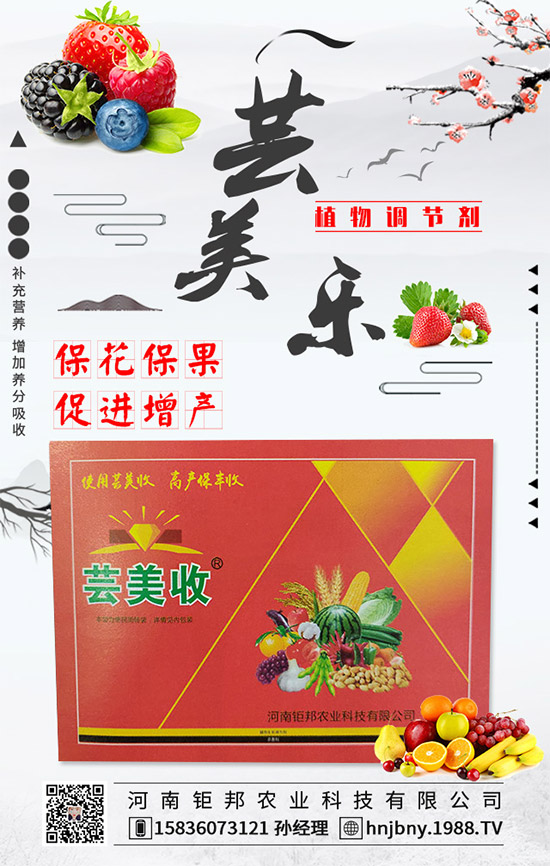 花生白絹病有什么危害？花生白絹病的防治措施！