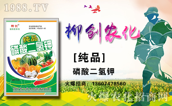 �������(chu��ng)�r(n��ng)�����޹�˾