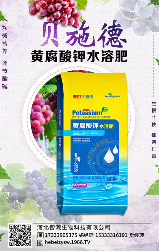 芹菜的營(yíng)養(yǎng)價(jià)值有哪些？常吃芹菜有什么好處？