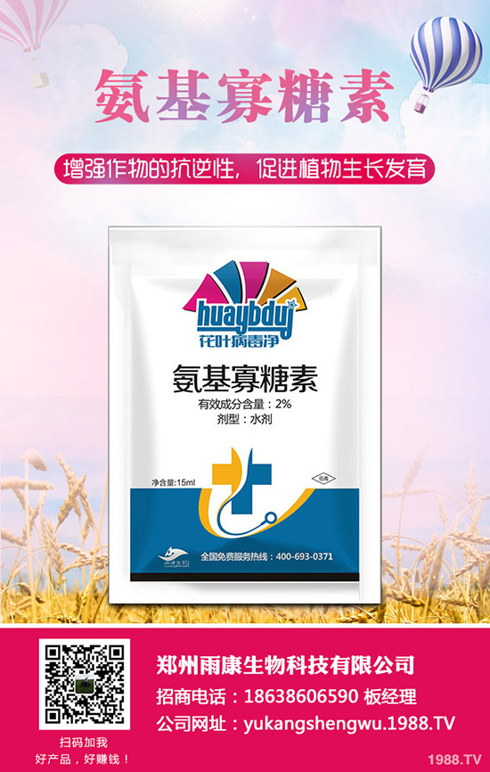 番茄發(fā)生肥害怎么辦？番茄肥害怎么快速恢復(fù)？