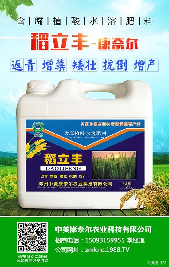 小麥四月份遇到“倒春寒”有多大影響?該如何補救?小麥四月份農(nóng)事指南
