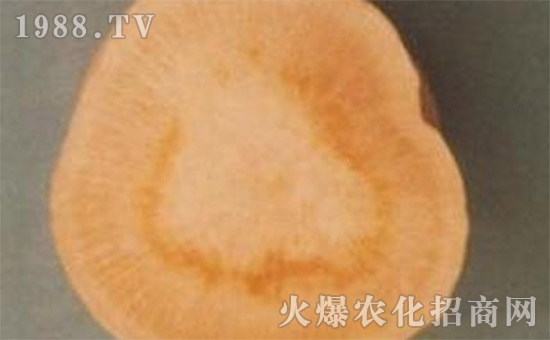     �}�����Ĳ��İY����}�����Ĳ��ķ��Σ�