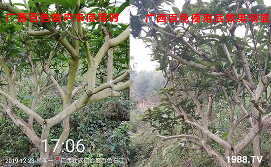 廣西百色客戶未使用時(shí)和使用后效果明顯!