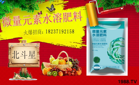 1988.TVϲӭ�»�飬���ϱ����ǔy��1988.TV���Aδ��(l��i)��