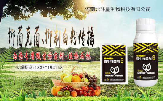 1988.TVϲӭ�»�������ϱ����ǔy��1988.TV���Aδ��(l��i)��