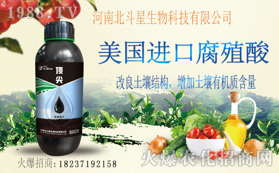 1988.TVϲӭ�»�������ϱ����ǔy��1988.TV���Aδ��(l��i)��