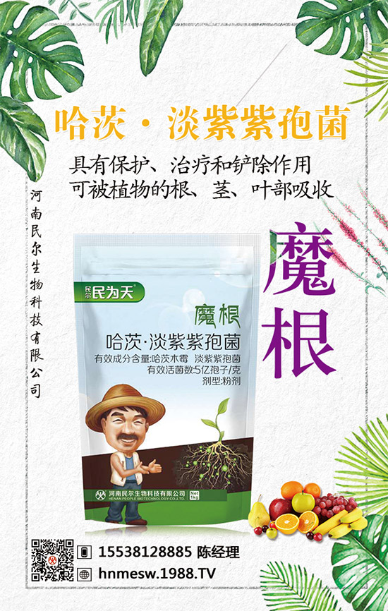 ��������(j��)���������ٺ�1988.TV������(chu��ng)���x�ͣ�