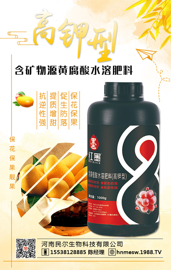 ��������(j��)���������ٺ�1988.TV������(chu��ng)���x����