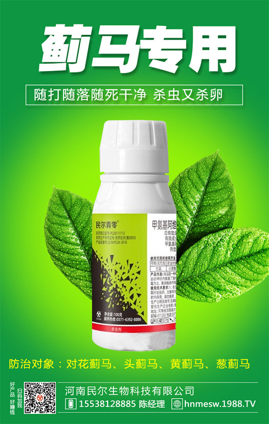 ��������(j��)���������ٺ�1988.TV������(chu��ng)���x����