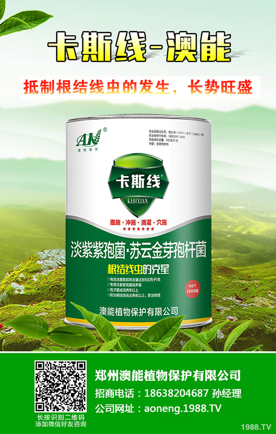 南瓜種植時間是什么時候？南瓜的種植技巧！