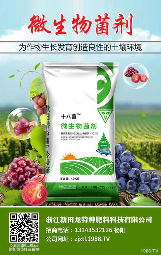 南瓜需肥規(guī)律，南瓜的施肥方法