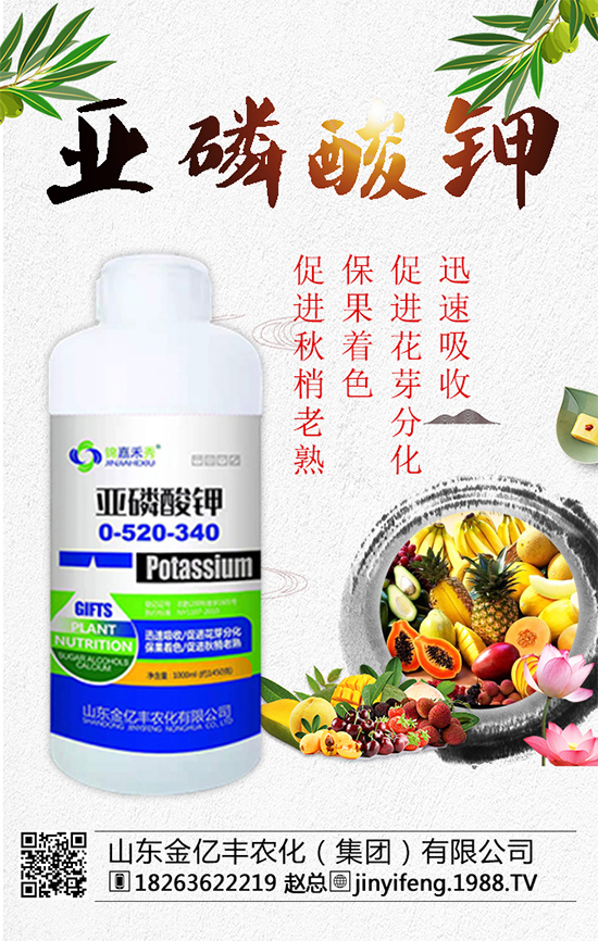 ��(zh��n)�Ժ�����������ɽ�|���|�S�ٺ�1988.TV���A2020��