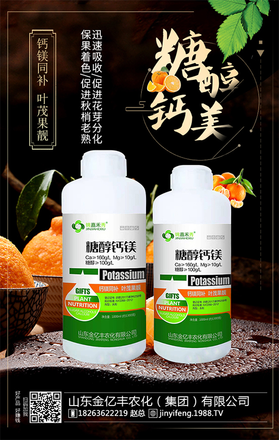 ��(zh��n)�Ժ�����������ɽ�|���|�S�ٺ�1988.TV���A2020��