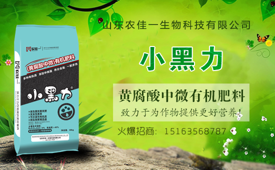 ���r(n��ng)���W(w��ng)ϲӭ�����ѣ��r(n��ng)��һ���ﺞ�s���v1988.TV��