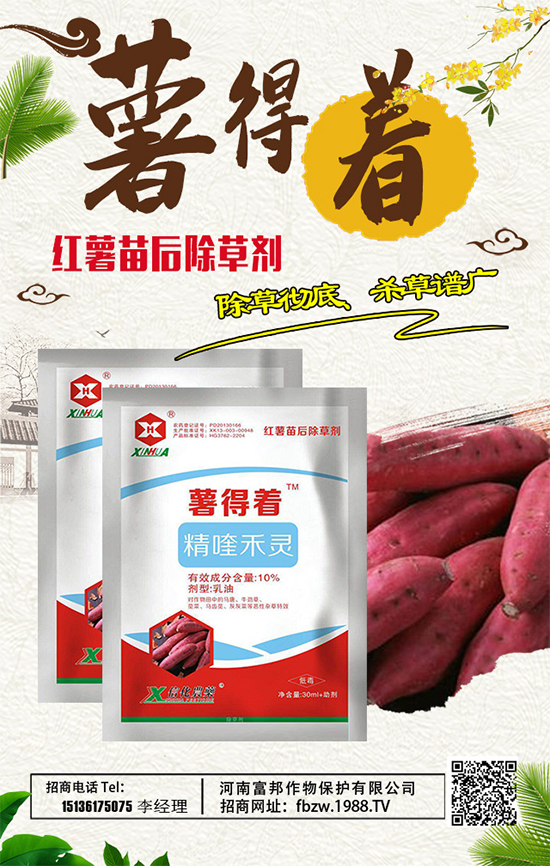 ���ϸ����ٶȔy��1988.TV���y�ֹ���(chu��ng)��(zh��n)�����ل�(chu��ng)�x�ͣ�