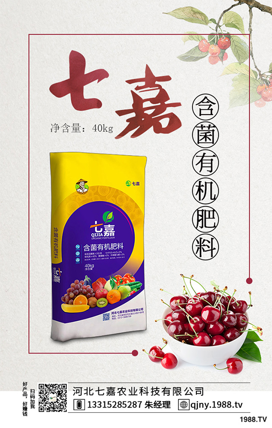 洋桔梗為什么種植難在哪里?洋桔梗種植難點及對策