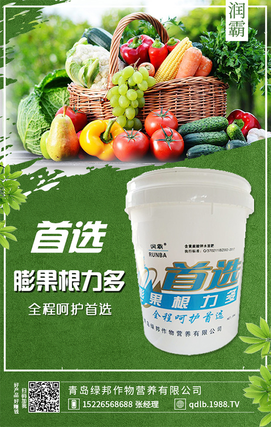 萬年青插桿及播種要點，室內萬年青種植注意事項！