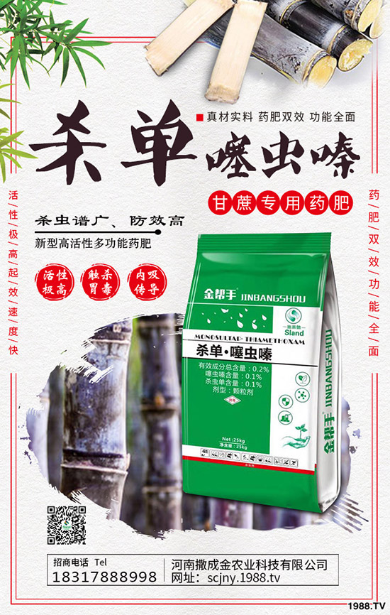 芹菜得了菌核病怎么辦?棚栽芹菜菌核病如何防治?